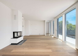 Wohn- / Essbereich mit Kamin